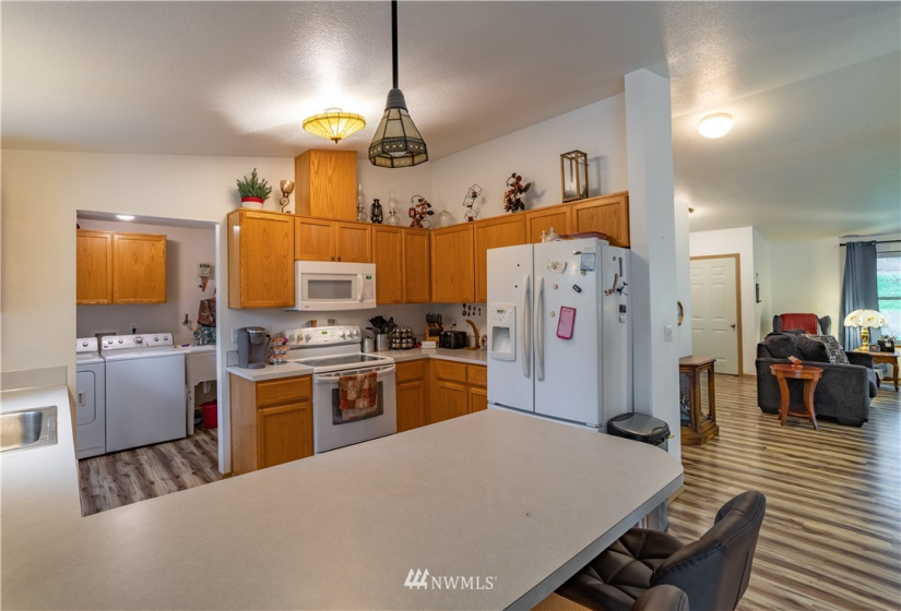 166 Capitol Ridge, Oakville, Washington 98568, 3 Bedrooms Bedrooms, ,2 BathroomsBathrooms,Residential,For Sale,Capitol Ridge,NWM1867287