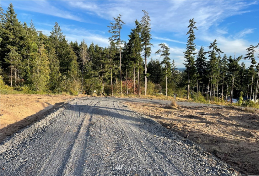 120 Tillicum, Chehalis, Washington 98532, ,Land,For Sale,Tillicum,NWM1867553