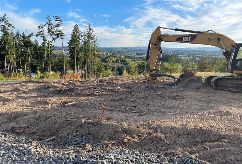 120 Tillicum, Chehalis, Washington 98532, ,Land,For Sale,Tillicum,NWM1867553
