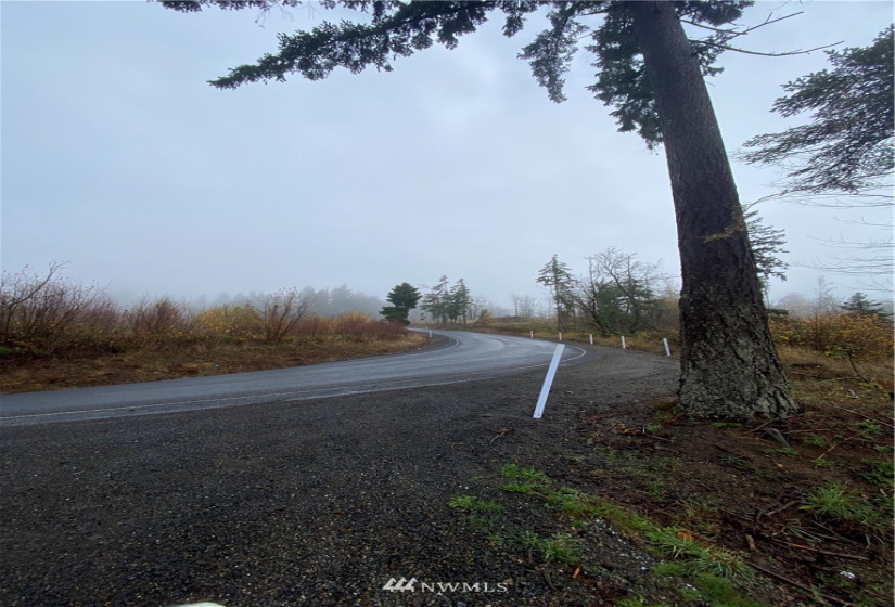 120 Tillicum, Chehalis, Washington 98532, ,Land,For Sale,Tillicum,NWM1867553