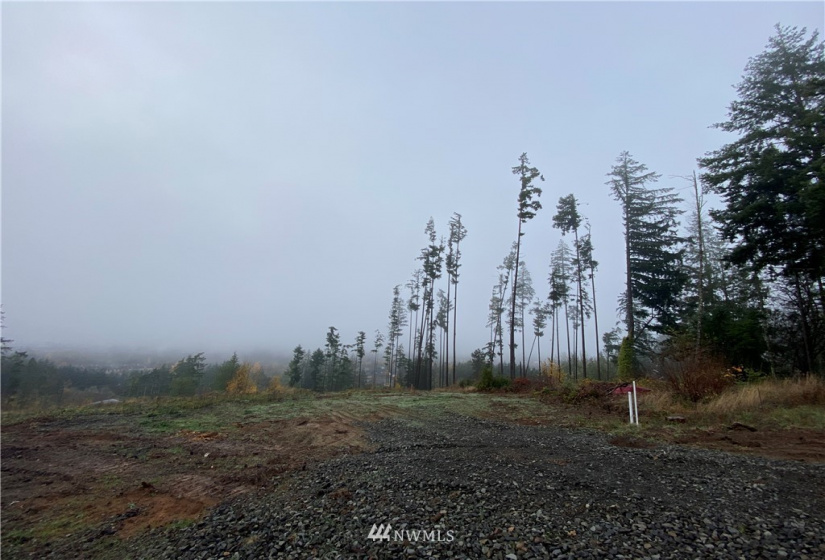 120 Tillicum, Chehalis, Washington 98532, ,Land,For Sale,Tillicum,NWM1867553