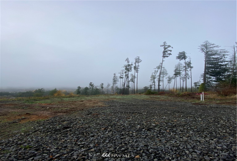 120 Tillicum, Chehalis, Washington 98532, ,Land,For Sale,Tillicum,NWM1867553