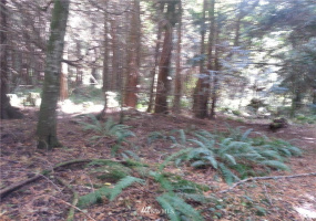 0 74th, Stanwood, Washington 98292, ,Land,For Sale,C.D. Hillman's,74th,NWM1866966