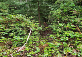 0 Sawdust Hill, Poulsbo, Washington 98370, ,Land,For Sale,Sawdust Hill,NWM1867376