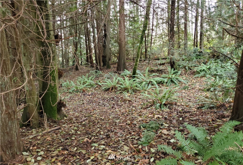 0 Sawdust Hill, Poulsbo, Washington 98370, ,Land,For Sale,Sawdust Hill,NWM1867376