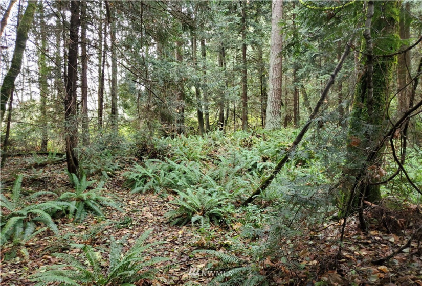 0 Sawdust Hill, Poulsbo, Washington 98370, ,Land,For Sale,Sawdust Hill,NWM1867376