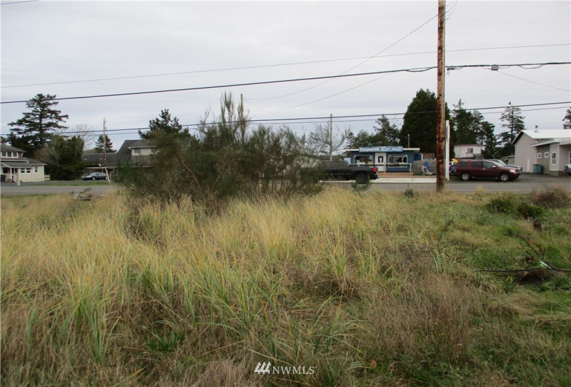 313 Montesano, Westport, Washington 98595, ,Land,For Sale,Montesano,NWM1867447