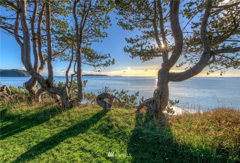 78, 62 Wildwood, Lopez Island, Washington 98261, 5 Bedrooms Bedrooms, ,2 BathroomsBathrooms,Residential,For Sale,Wildwood,NWM1863419