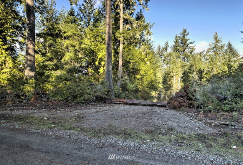 256 XX North Shore, Tahuya, Washington 98588, ,Land,For Sale,North Shore,NWM1868087