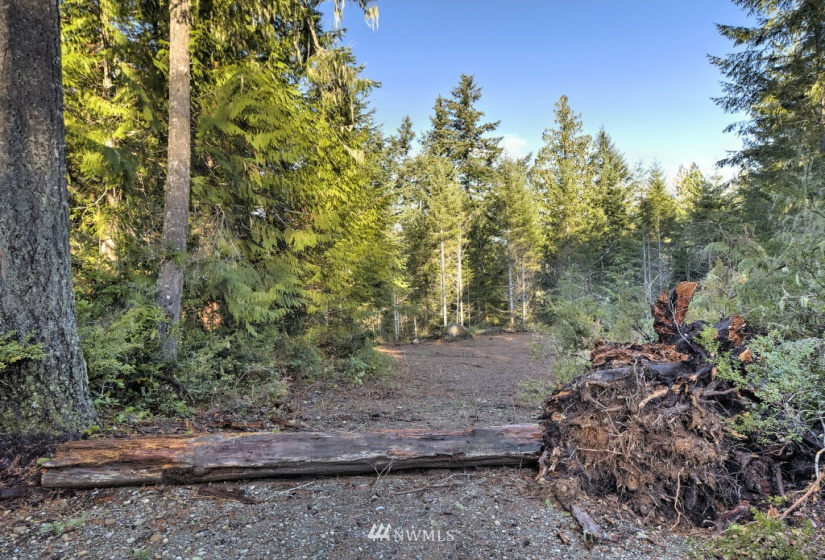 256 XX North Shore, Tahuya, Washington 98588, ,Land,For Sale,North Shore,NWM1868087