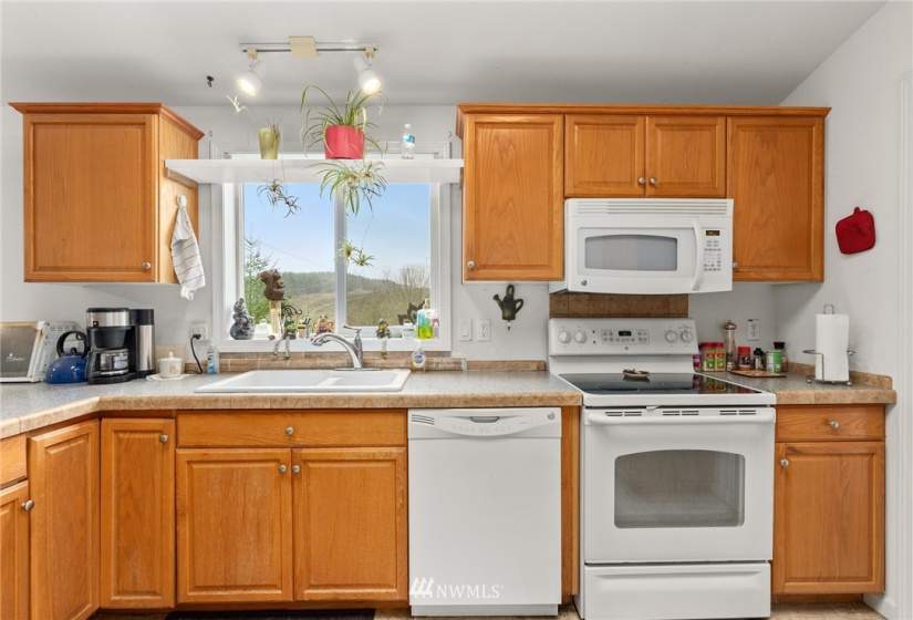 125 Deer Haven Drive, Winlock, Washington 98596, 3 Bedrooms Bedrooms, ,2 BathroomsBathrooms,Manufactured In Park,For Sale,Deer Haven Drive,NWM1868070