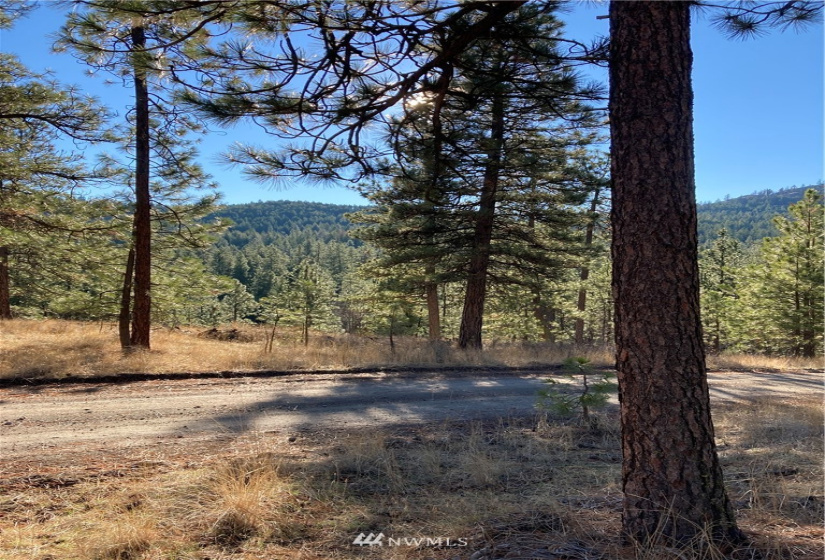 0 TBD Garrett Ln, Tonasket, Washington 98855, ,Land,For Sale,TBD Garrett Ln,NWM1846489
