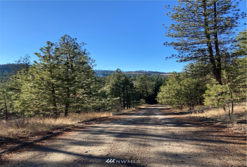 0 TBD Garrett Ln, Tonasket, Washington 98855, ,Land,For Sale,TBD Garrett Ln,NWM1846489