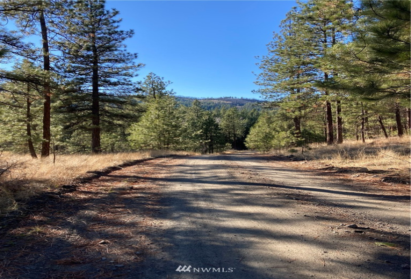 0 TBD Garrett Ln, Tonasket, Washington 98855, ,Land,For Sale,TBD Garrett Ln,NWM1846489