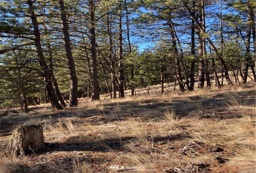 0 TBD Garrett Ln, Tonasket, Washington 98855, ,Land,For Sale,TBD Garrett Ln,NWM1846489