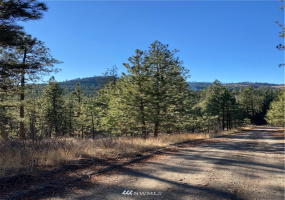 0 TBD Garrett Ln, Tonasket, Washington 98855, ,Land,For Sale,TBD Garrett Ln,NWM1846489