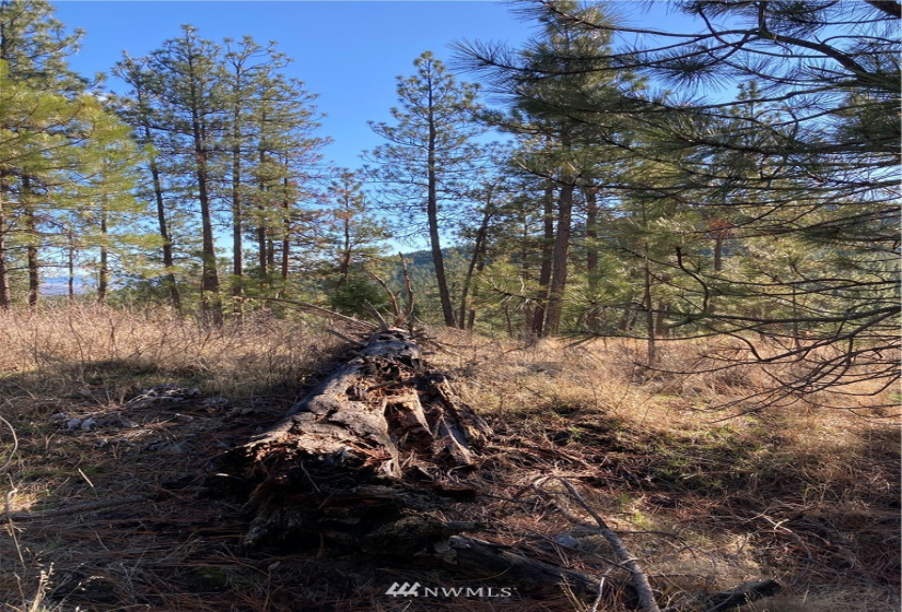 0 TBD Garrett Ln, Tonasket, Washington 98855, ,Land,For Sale,TBD Garrett Ln,NWM1846489