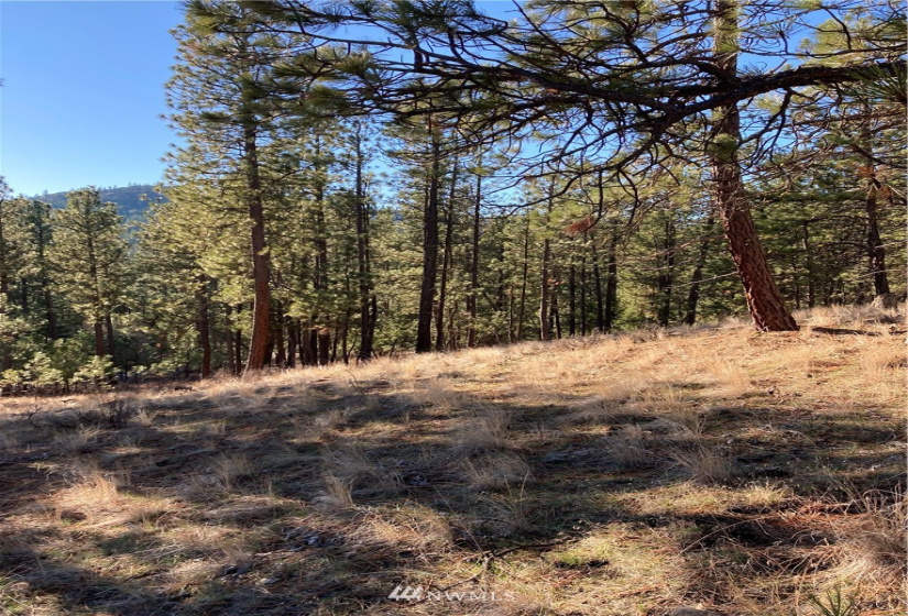 0 TBD Garrett Ln, Tonasket, Washington 98855, ,Land,For Sale,TBD Garrett Ln,NWM1846489