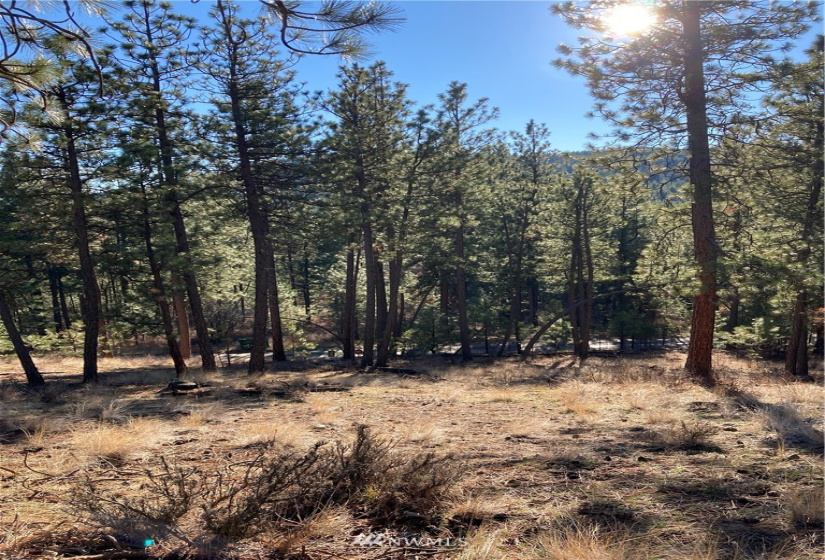 0 TBD Garrett Ln, Tonasket, Washington 98855, ,Land,For Sale,TBD Garrett Ln,NWM1846489