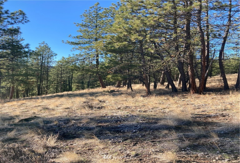 0 TBD Garrett Ln, Tonasket, Washington 98855, ,Land,For Sale,TBD Garrett Ln,NWM1846489