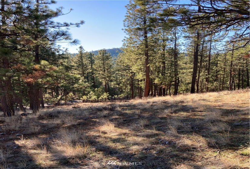 0 TBD Garrett Ln, Tonasket, Washington 98855, ,Land,For Sale,TBD Garrett Ln,NWM1846489