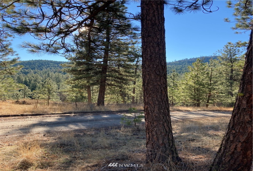 0 TBD Garrett Ln, Tonasket, Washington 98855, ,Land,For Sale,TBD Garrett Ln,NWM1846489