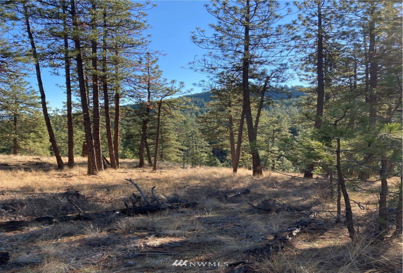 0 TBD Garrett Ln, Tonasket, Washington 98855, ,Land,For Sale,TBD Garrett Ln,NWM1846489