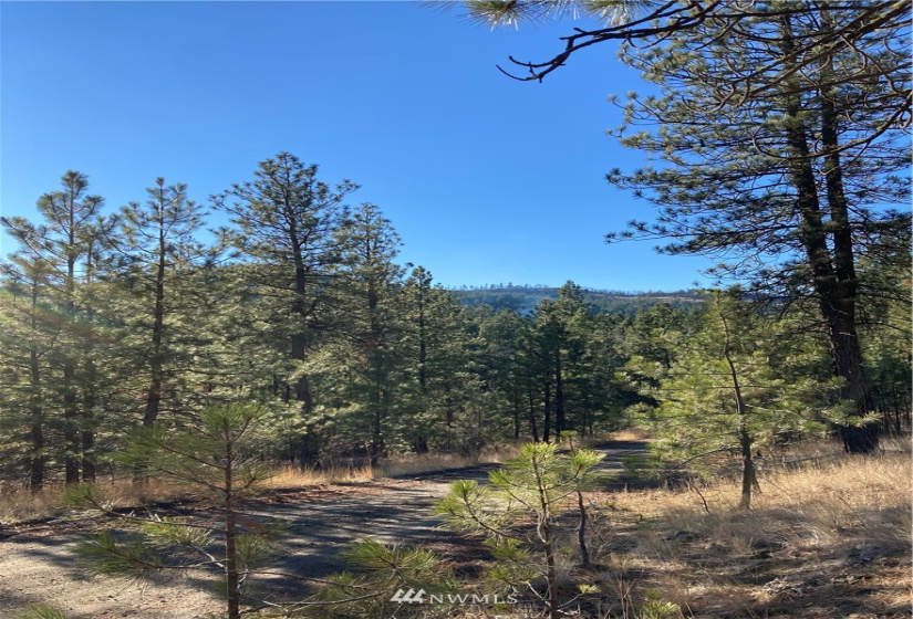 0 TBD Garrett Ln, Tonasket, Washington 98855, ,Land,For Sale,TBD Garrett Ln,NWM1846489