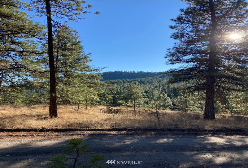 0 TBD Garrett Ln, Tonasket, Washington 98855, ,Land,For Sale,TBD Garrett Ln,NWM1846489