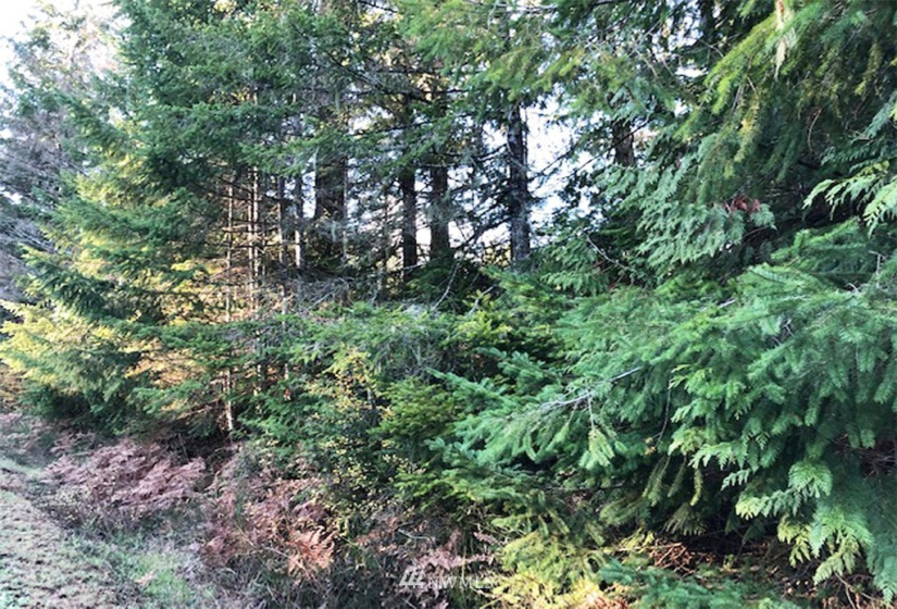 41 Wildwood, Brinnon, Washington 98320, ,Land,For Sale,Pleasant Tides Division 2,Wildwood,NWM1868022