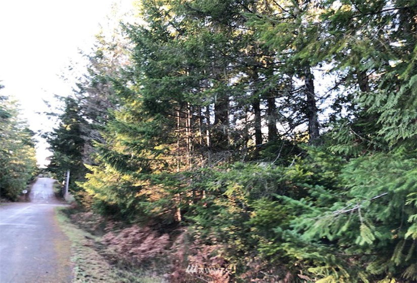 41 Wildwood, Brinnon, Washington 98320, ,Land,For Sale,Pleasant Tides Division 2,Wildwood,NWM1868022