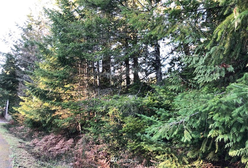 41 Wildwood, Brinnon, Washington 98320, ,Land,For Sale,Pleasant Tides Division 2,Wildwood,NWM1868022