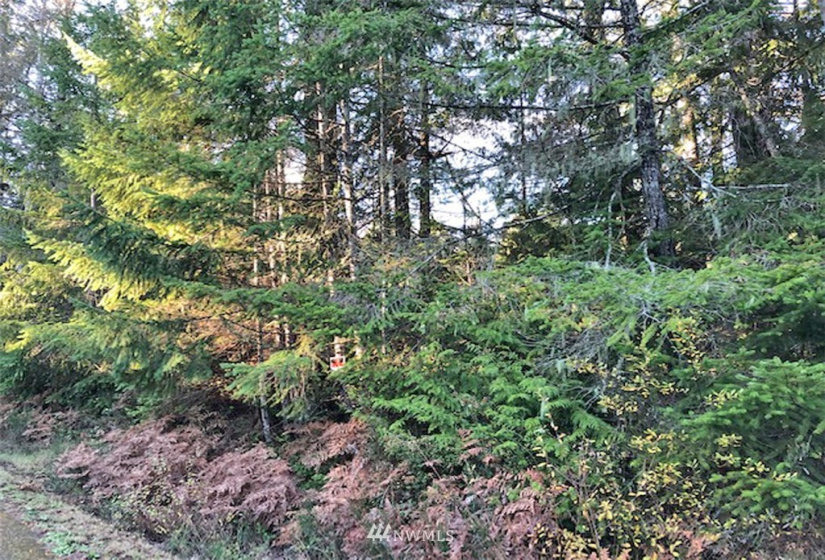 41 Wildwood, Brinnon, Washington 98320, ,Land,For Sale,Pleasant Tides Division 2,Wildwood,NWM1868022