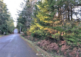 41 Wildwood, Brinnon, Washington 98320, ,Land,For Sale,Pleasant Tides Division 2,Wildwood,NWM1868022