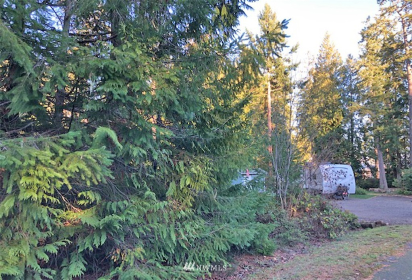 41 Wildwood, Brinnon, Washington 98320, ,Land,For Sale,Pleasant Tides Division 2,Wildwood,NWM1868022