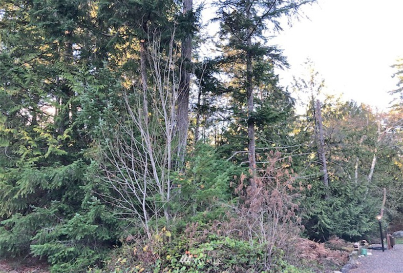 41 Wildwood, Brinnon, Washington 98320, ,Land,For Sale,Pleasant Tides Division 2,Wildwood,NWM1868022