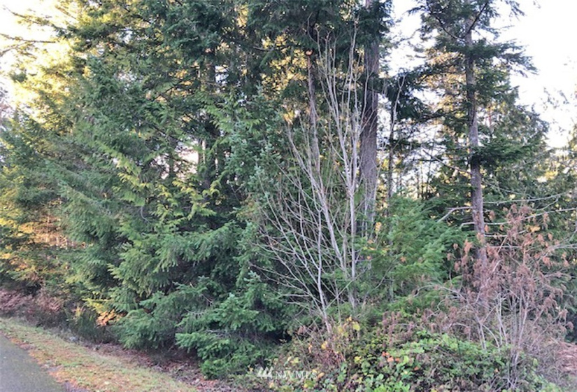 41 Wildwood, Brinnon, Washington 98320, ,Land,For Sale,Pleasant Tides Division 2,Wildwood,NWM1868022