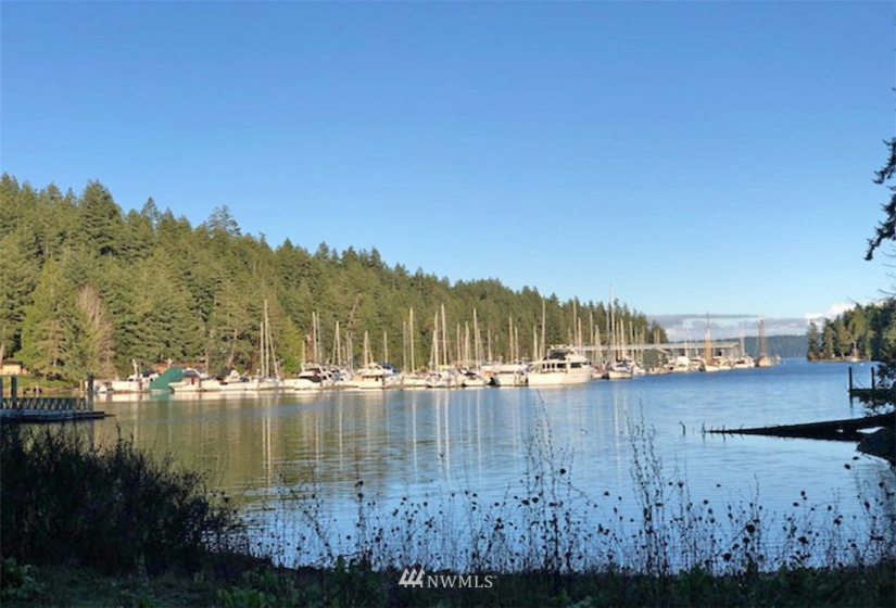 41 Wildwood, Brinnon, Washington 98320, ,Land,For Sale,Pleasant Tides Division 2,Wildwood,NWM1868022