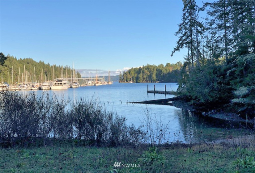 41 Wildwood, Brinnon, Washington 98320, ,Land,For Sale,Pleasant Tides Division 2,Wildwood,NWM1868022