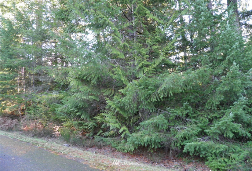 41 Wildwood, Brinnon, Washington 98320, ,Land,For Sale,Pleasant Tides Division 2,Wildwood,NWM1868022