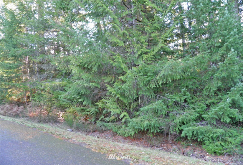 41 Wildwood, Brinnon, Washington 98320, ,Land,For Sale,Pleasant Tides Division 2,Wildwood,NWM1868022