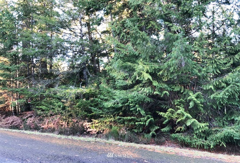 41 Wildwood, Brinnon, Washington 98320, ,Land,For Sale,Pleasant Tides Division 2,Wildwood,NWM1868022