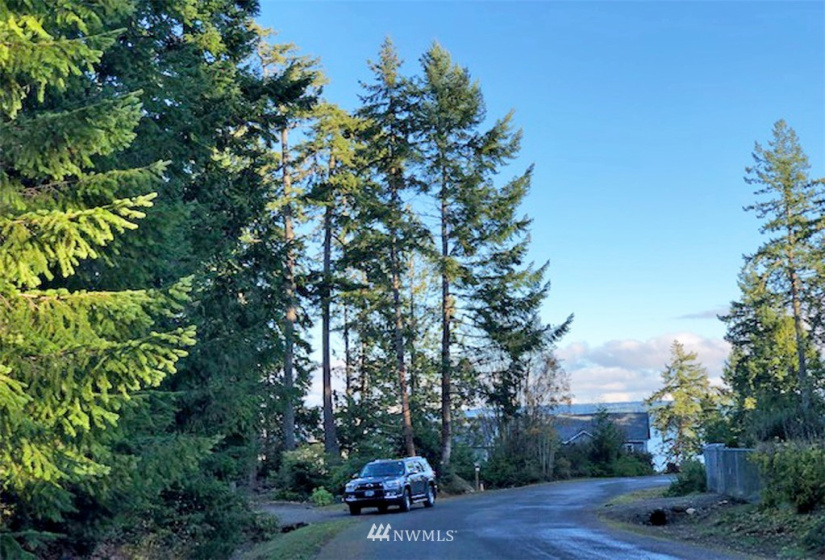 41 Wildwood, Brinnon, Washington 98320, ,Land,For Sale,Pleasant Tides Division 2,Wildwood,NWM1868022