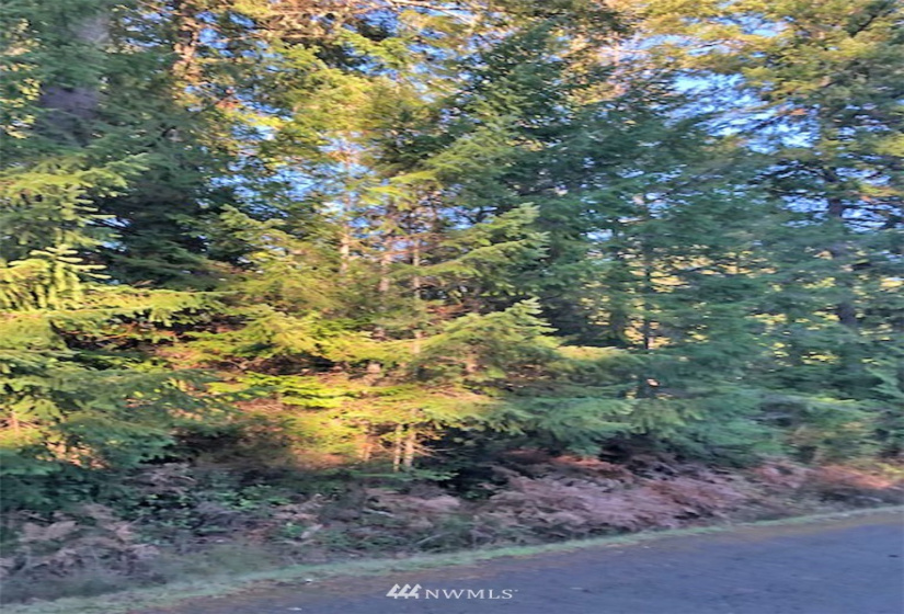 41 Wildwood, Brinnon, Washington 98320, ,Land,For Sale,Pleasant Tides Division 2,Wildwood,NWM1868022