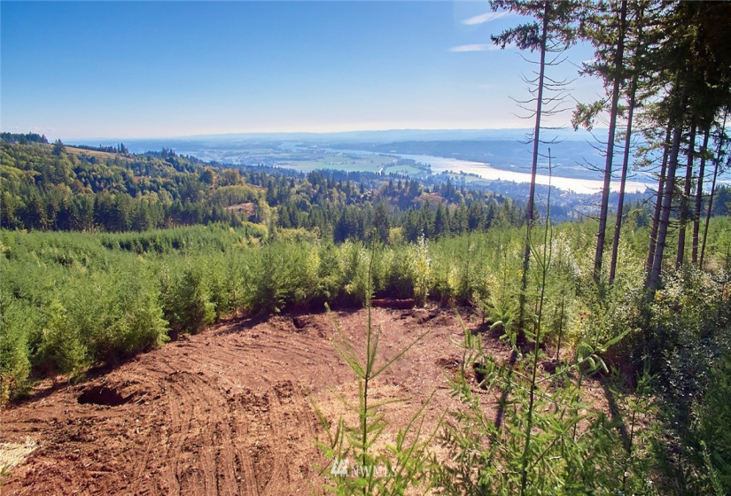 3109 Green Mountain, Kalama, Washington 98625, ,Land,For Sale,NA: Boundary Line Adjustment,Green Mountain,NWM1868210