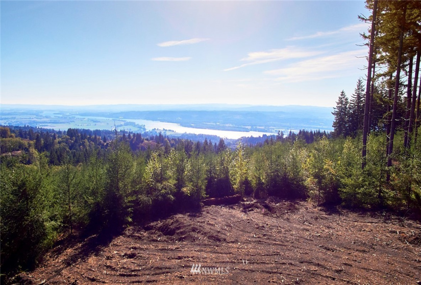 3109 Green Mountain, Kalama, Washington 98625, ,Land,For Sale,NA: Boundary Line Adjustment,Green Mountain,NWM1868210