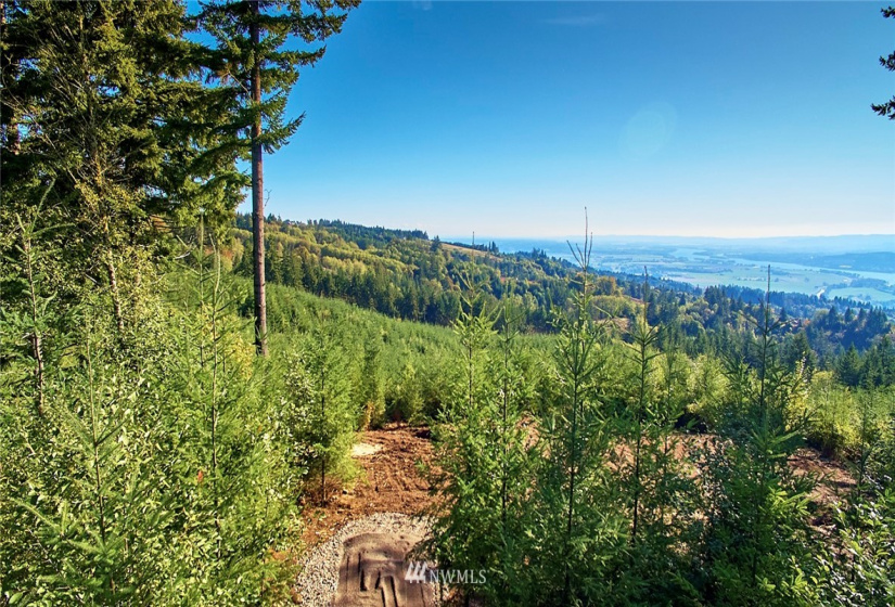 3109 Green Mountain, Kalama, Washington 98625, ,Land,For Sale,NA: Boundary Line Adjustment,Green Mountain,NWM1868210