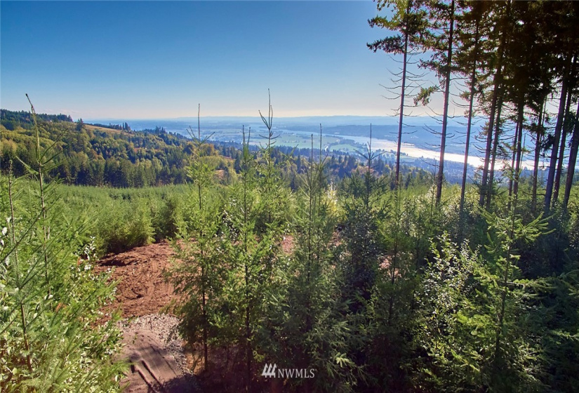 3109 Green Mountain, Kalama, Washington 98625, ,Land,For Sale,NA: Boundary Line Adjustment,Green Mountain,NWM1868210
