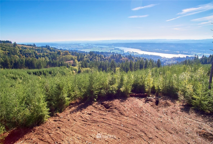 3109 Green Mountain, Kalama, Washington 98625, ,Land,For Sale,NA: Boundary Line Adjustment,Green Mountain,NWM1868210