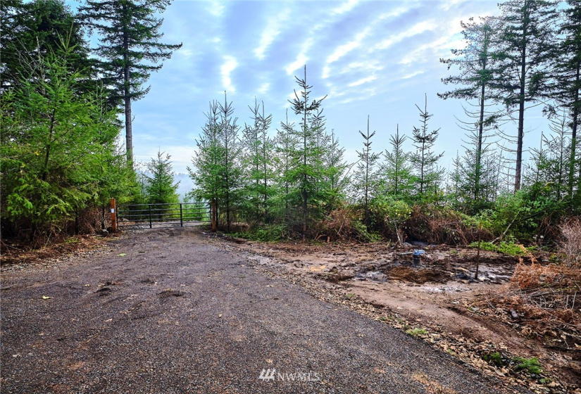 3109 Green Mountain, Kalama, Washington 98625, ,Land,For Sale,NA: Boundary Line Adjustment,Green Mountain,NWM1868210